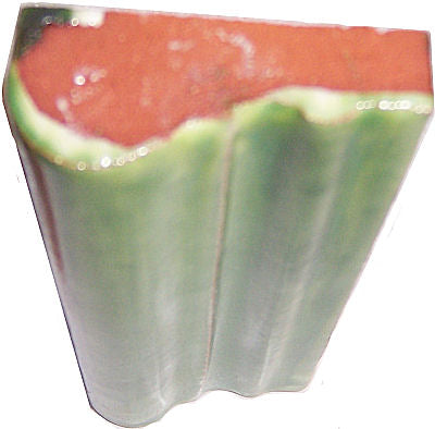 TalaMex Green Chair Rail Molding 6 in.